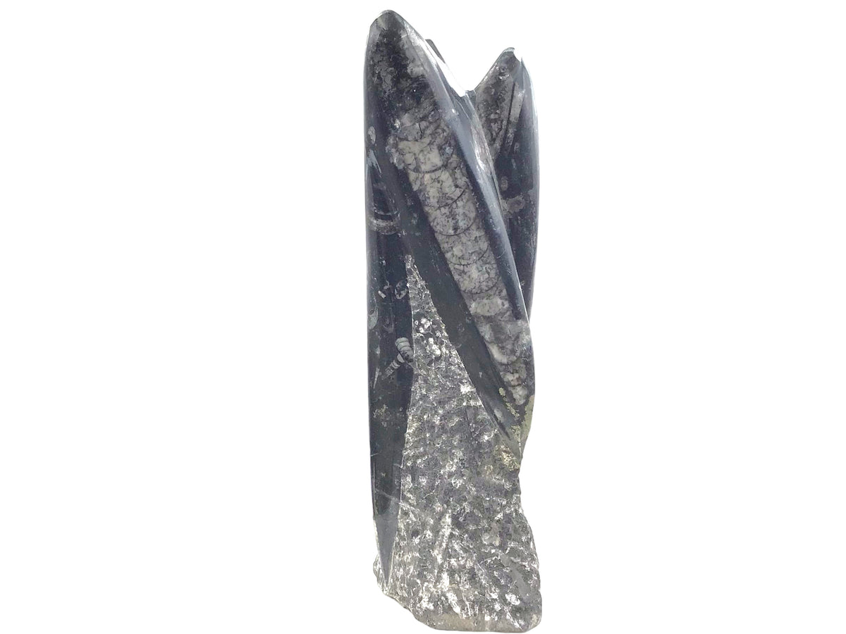 Orthoceras Fossilien Skulptur – ca. 23 cm Naturstein aus Marokko – 1200 g Fossilienmarmor mit echten Urzeit-Fossilien – Deko Statue / Turm