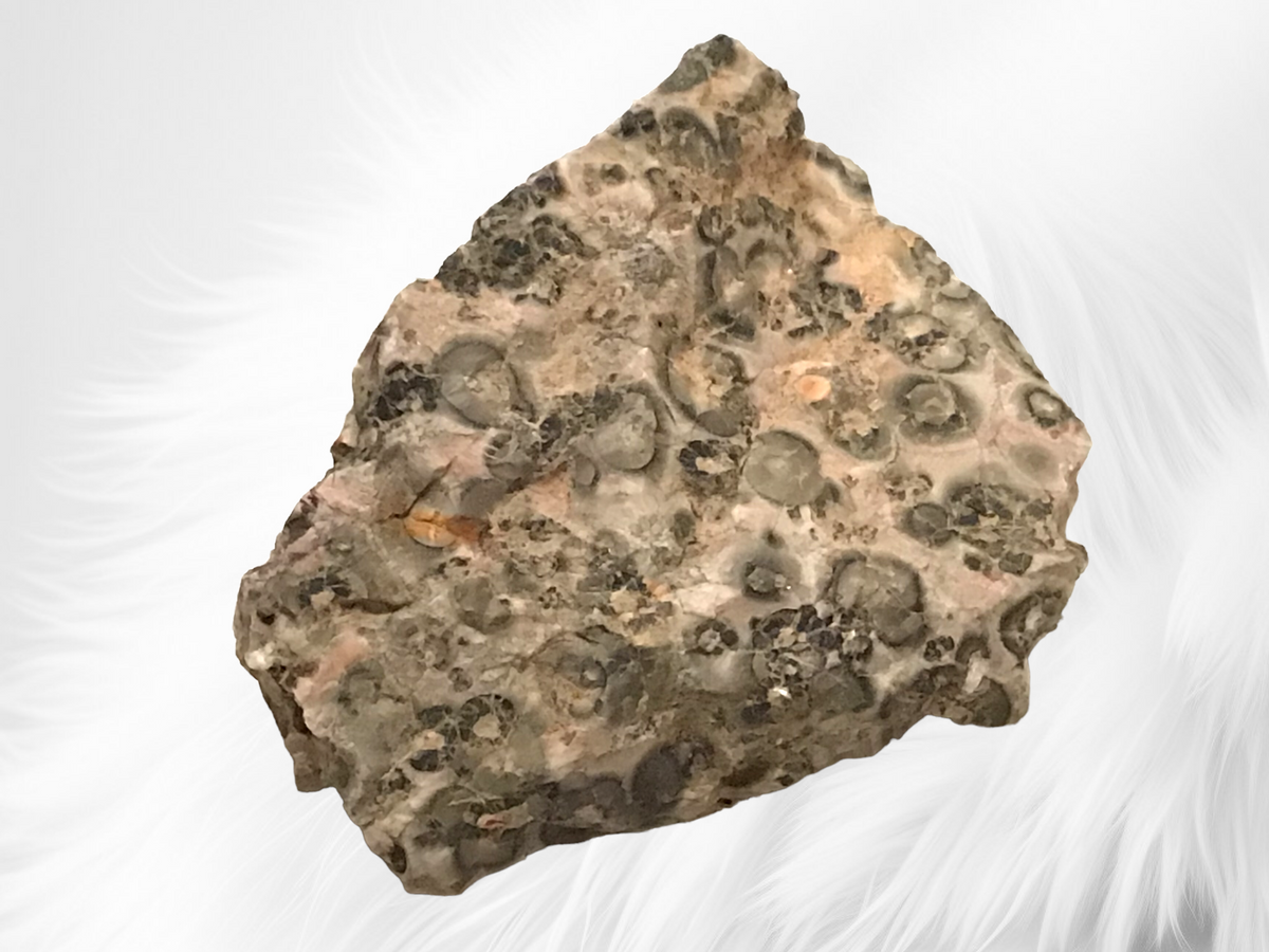Leopardenjaspis Rohstein I 50-500 Gramm I Edelstein I Glücksstein I Mexiko