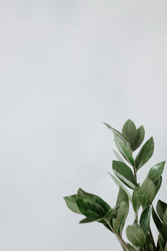 Smaragd und seine Anwendung in der Aromatherapie