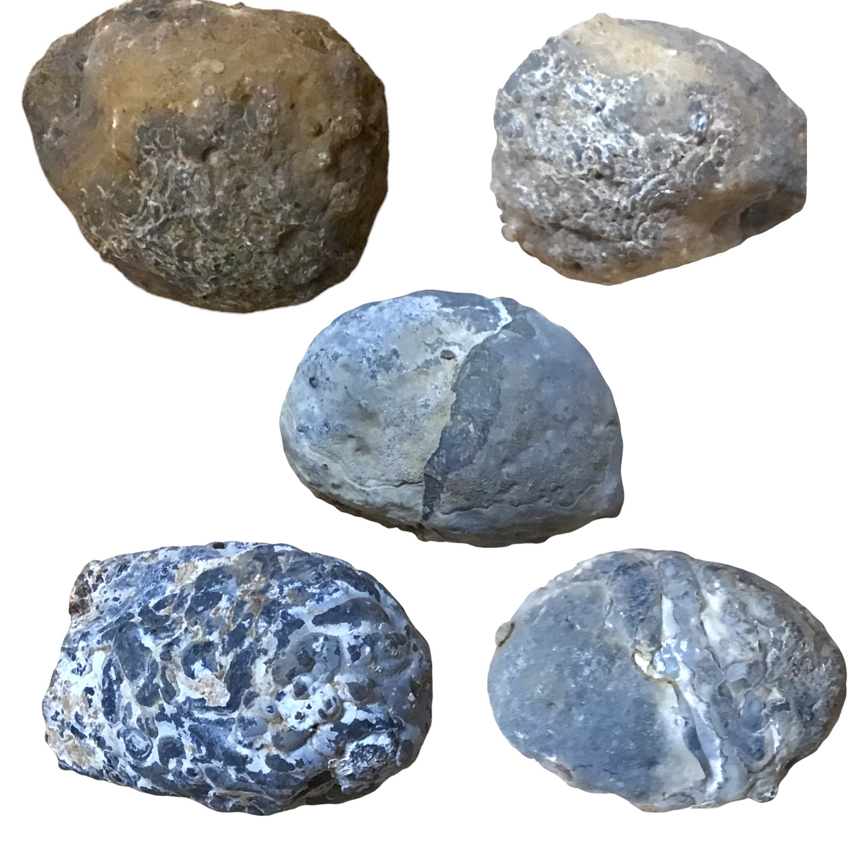 5 Achatgeoden aus Brasilien – geschlossen & naturbelassen – 3–4 cm – ca. 300 g – Geoden zum Öffnen – Nussgeoden / Glücksgeoden