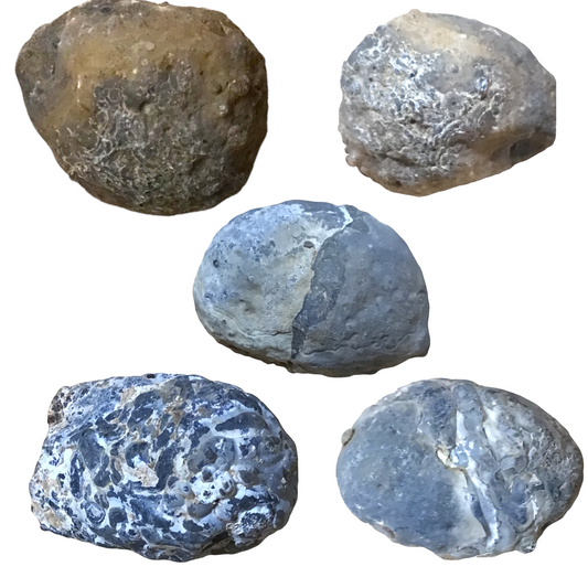 5 Achatgeoden aus Brasilien – geschlossen & naturbelassen – 3–4 cm – ca. 300 g – Geoden zum Öffnen – Nussgeoden / Glücksgeoden