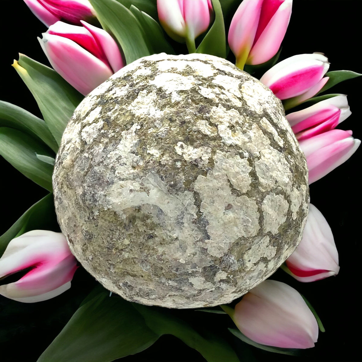 Achat Coconut Geode | Mine Las Choyas | Ø 40-130 mm | zum selber aufbrechen | geschlossen | Mexiko Glücksgeode Partyspass