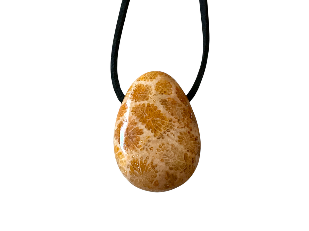 Fossile Koralle Anhänger Tropfen (Petoskey Stone) – Naturstein Kette mit 80 cm Band & Geschenkbox – Echter Fossilien Schmuck in AAA-Qualität aus USA – ca. 30x20 mm