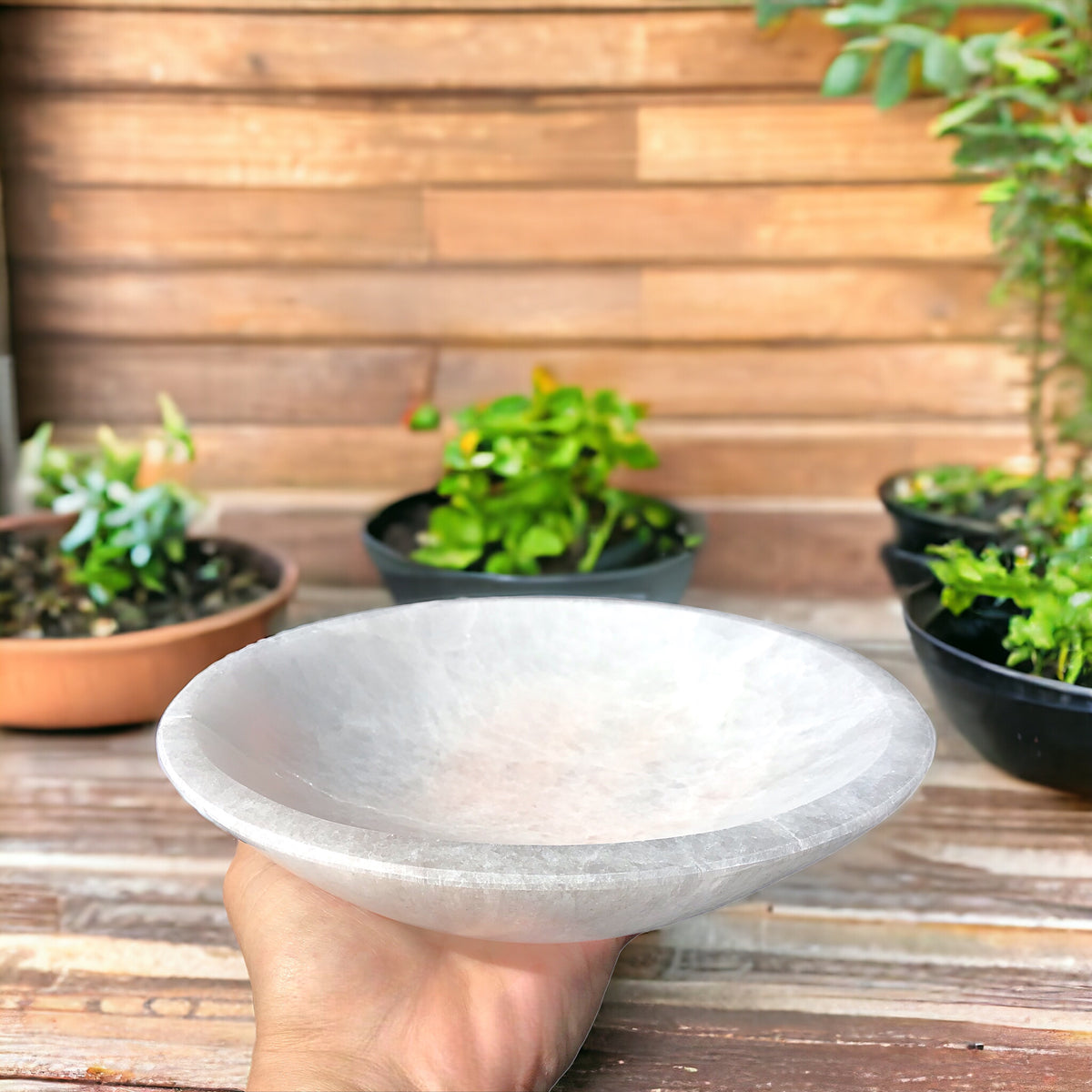 XXL Selenit Ladeschale Bowl Ø 20 cm - ca. 1000gr. - Kristallschale - in dieser Größe selten erhältlich - AAA-Qualität - Marokko