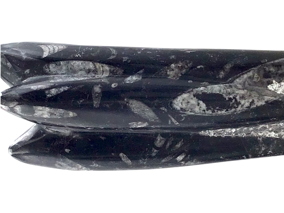 Orthoceras Fossilien Skulptur – ca. 23 cm Naturstein aus Marokko – 1200 g Fossilienmarmor mit echten Urzeit-Fossilien – Deko Statue / Turm