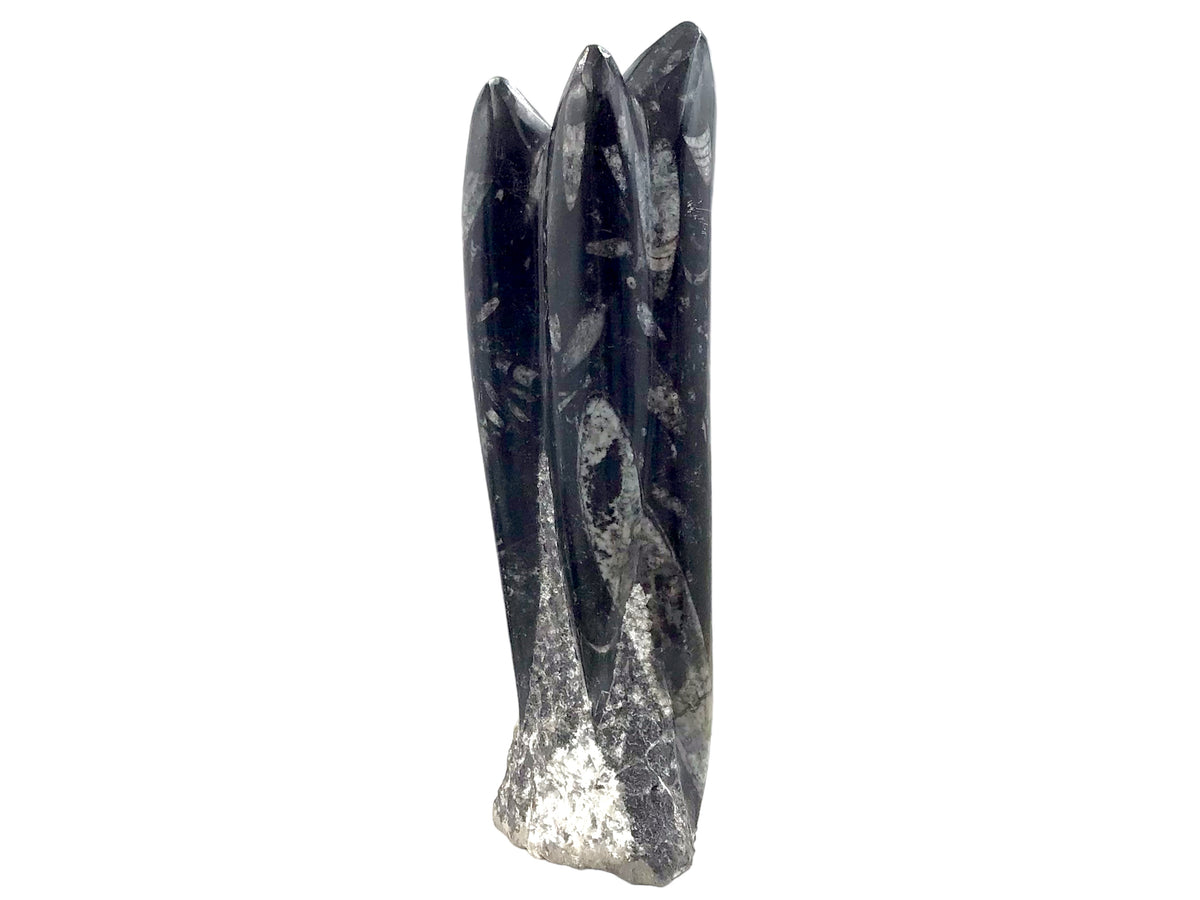 Orthoceras Fossilien Skulptur – ca. 23 cm Naturstein aus Marokko – 1200 g Fossilienmarmor mit echten Urzeit-Fossilien – Deko Statue / Turm