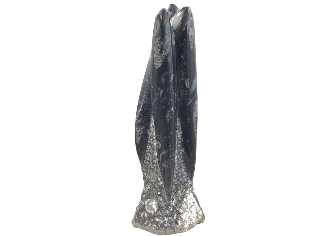 Orthoceras Fossilien Skulptur – ca. 23 cm Naturstein aus Marokko – 1200 g Fossilienmarmor mit echten Urzeit-Fossilien – Deko Statue / Turm