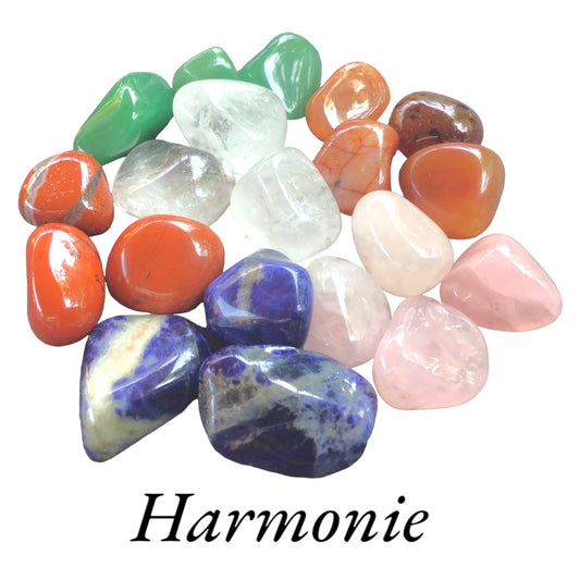 Premium Edelstein-Quellwasser-Set "Harmonie" | Trommelsteine zur Energetisierung von Trinkwasser  | 21 Seiten Anleitung |Top 1A Heilsteine | Wasserbelebung