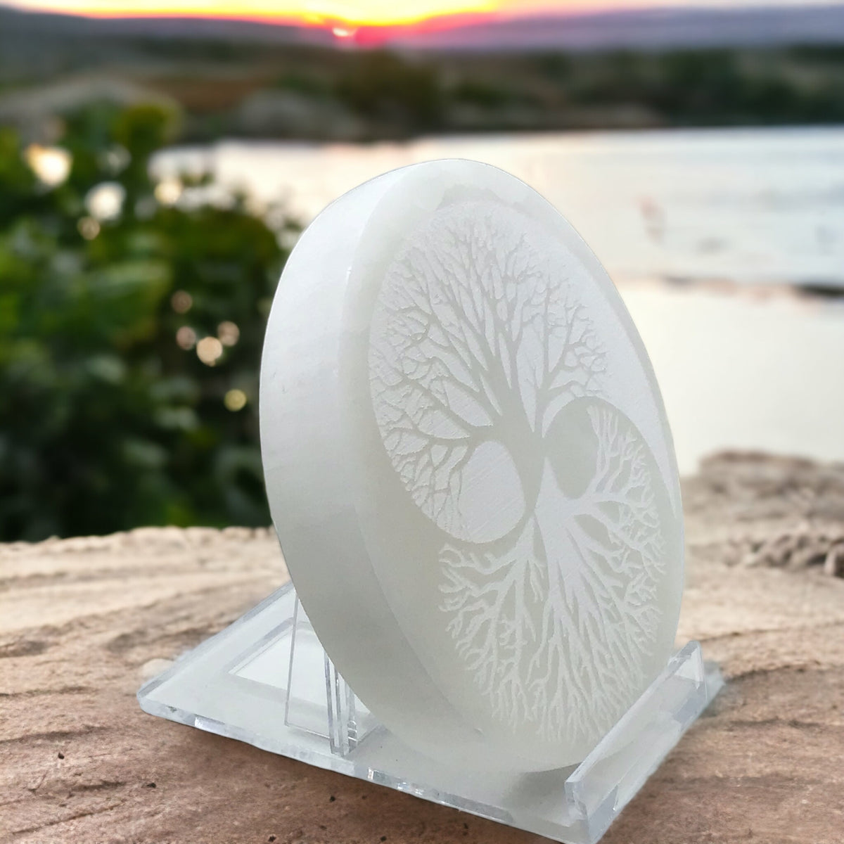 Echte Selenit Ladeplatte mit Gravur "Yin Yang und Baum des Lebens" Ø 10,5 cm - 300 Gramm- mit kleinem Acrylständer