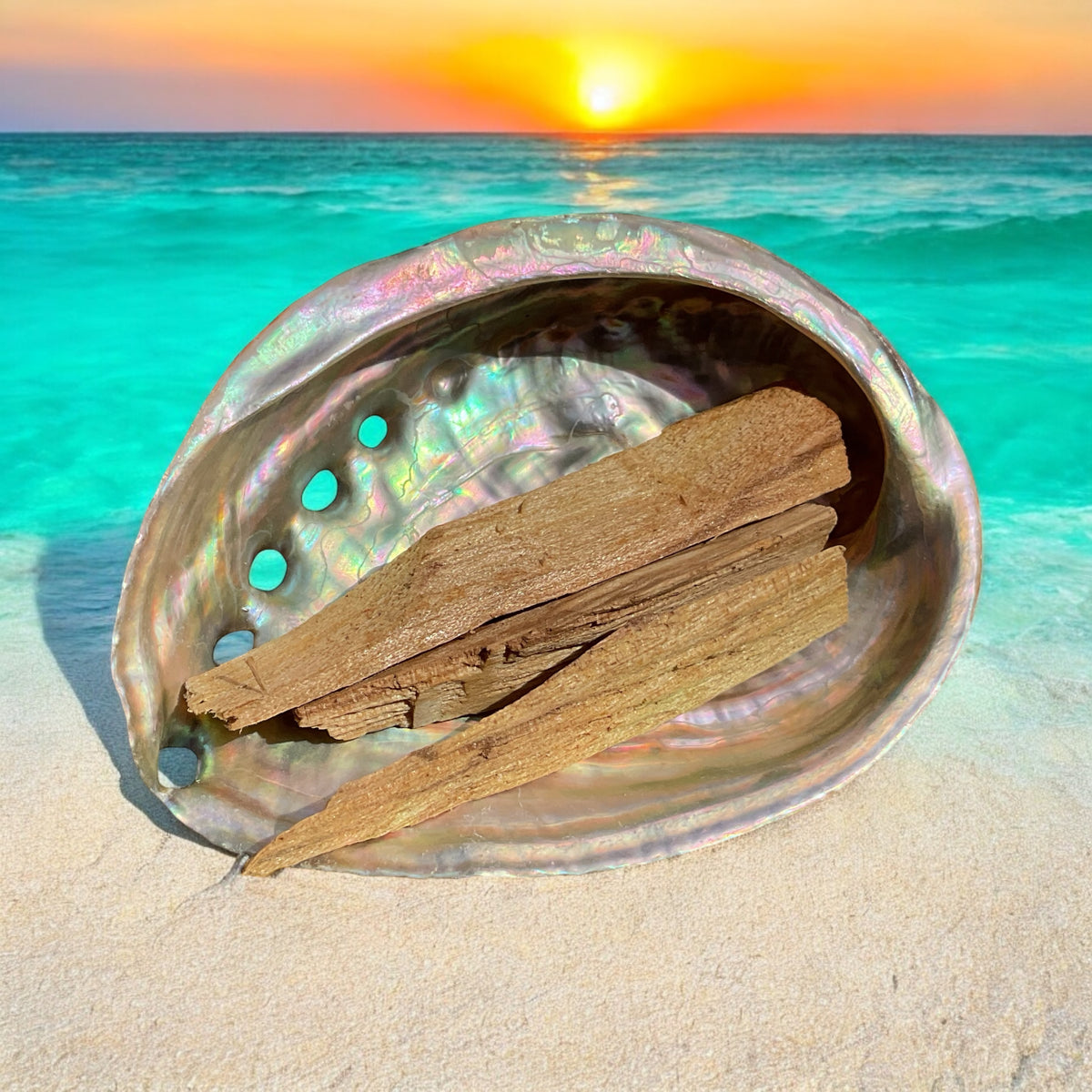 Abalone Paua Muschel I 100x70x15 mm I Räucherset mit 20 gr. Palo Santo Holz I Perlmutt Meeresmuschel I naturbelassen I Mexiko