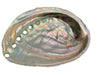 Abalone Paua Muschel I 100x70x15 mm I Räucherschale I Perlmutt Meeresmuschel I naturbelassen I Mexiko
