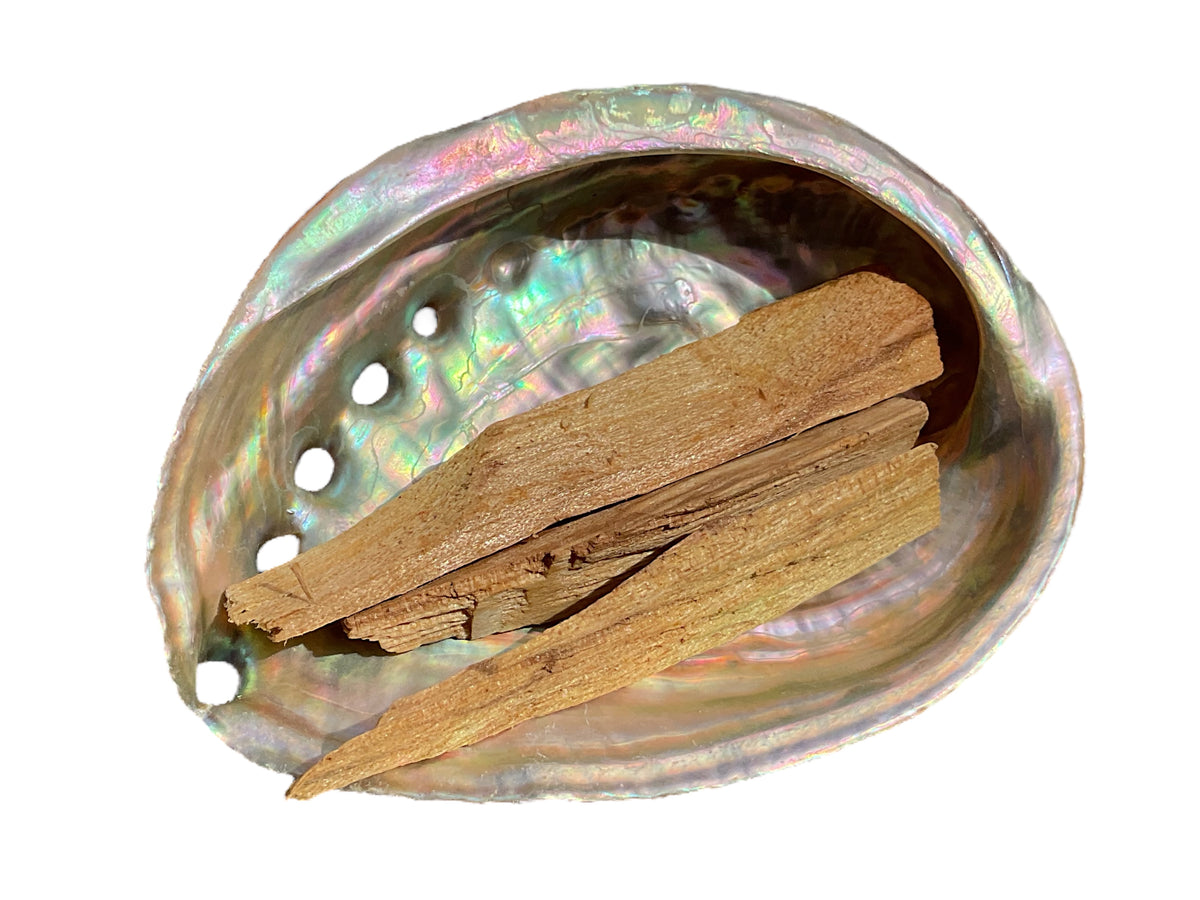 Abalone Paua Muschel I 100x70x15 mm I Räucherset mit 20 gr. Palo Santo Holz I Perlmutt Meeresmuschel I naturbelassen I Mexiko