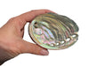 Abalone Paua Muschel I 100x70x15 mm I Räucherschale I Perlmutt Meeresmuschel I naturbelassen I Mexiko