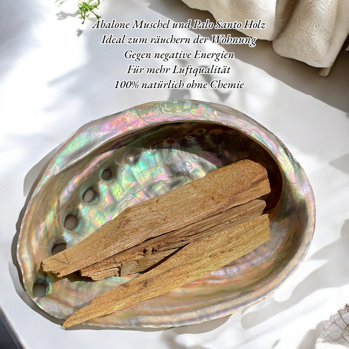 Abalone Paua Muschel I 100x70x15 mm I Räucherset mit 20 gr. Palo Santo Holz I Perlmutt Meeresmuschel I naturbelassen I Mexiko
