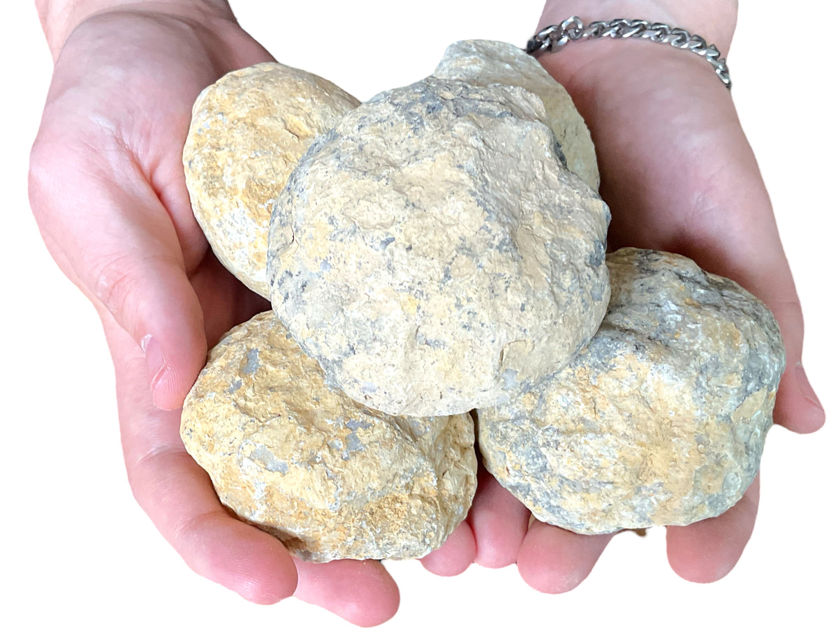 Grosses fünfteiliges Geoden Sparset in Tennisballgröße, je 6-7 cm - mit Anleitung zum aufbrechen und Beschreibung der Geoden - insgesamt 1000-1200 Gramm