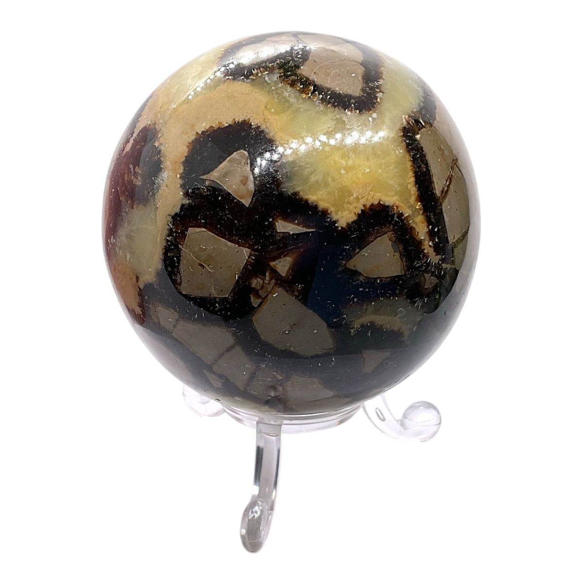 Septarien Drachen Kugel I 440 Gramm I 7x7x7cm I Dragonball I Mystisch I Kristallkugel I Sammlerstück I Unikat-Masterpiece 1646 I mit Acrylständer I Madagaskar
