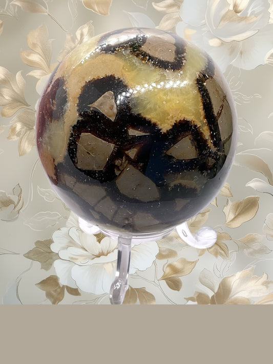 Septarien Drachen Kugel I 440 Gramm I 7x7x7cm I Dragonball I Mystisch I Kristallkugel I Sammlerstück I Unikat-Masterpiece 1646 I mit Acrylständer I Madagaskar