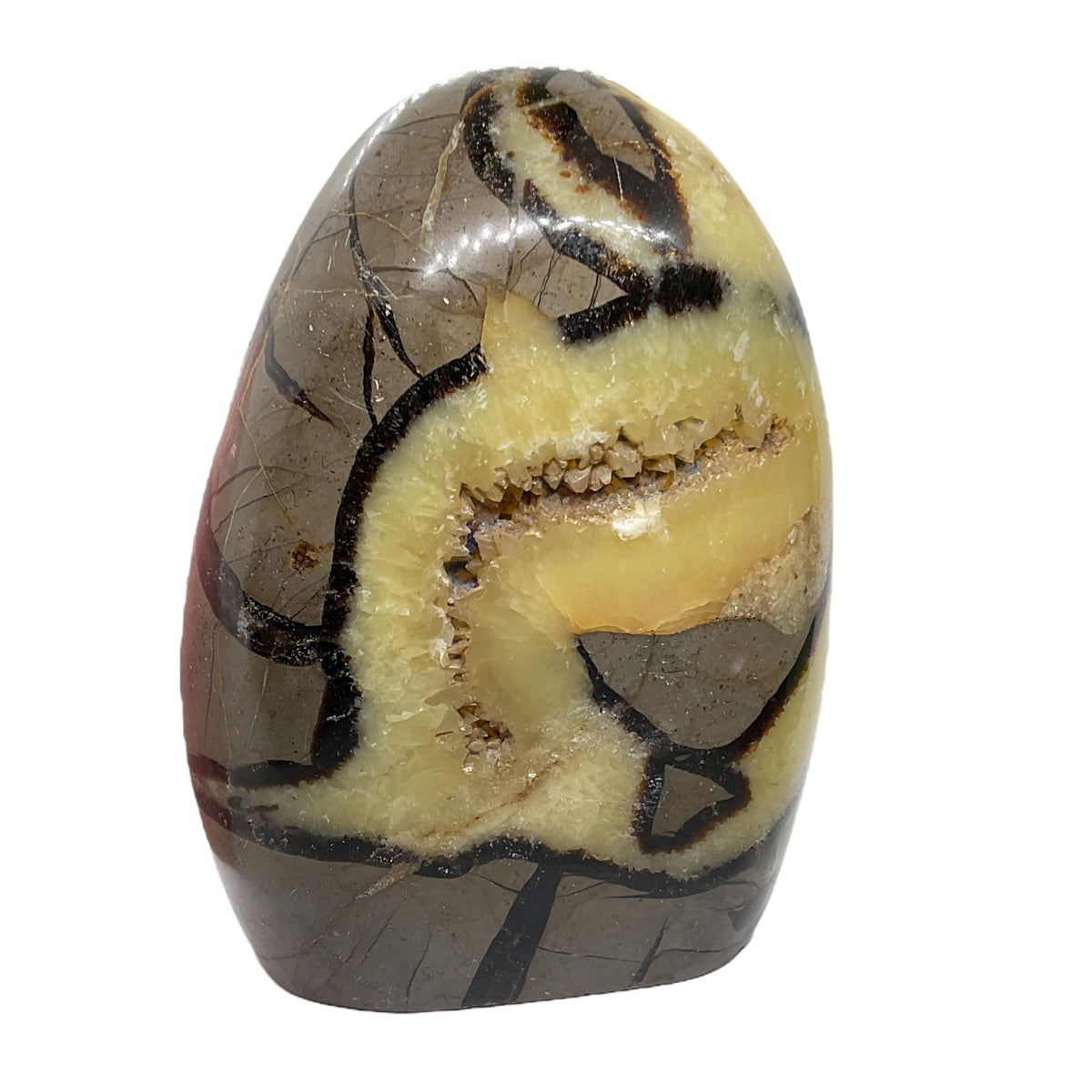 Mystisches Septarien Drachenei I Kristalldruse I Freeform I mit Acrylständer I 1330gr. I 13x9x6cm I Unikat-Masterpiece 1653 I Sammlerstück I AAA-Qualität I Madagaskar