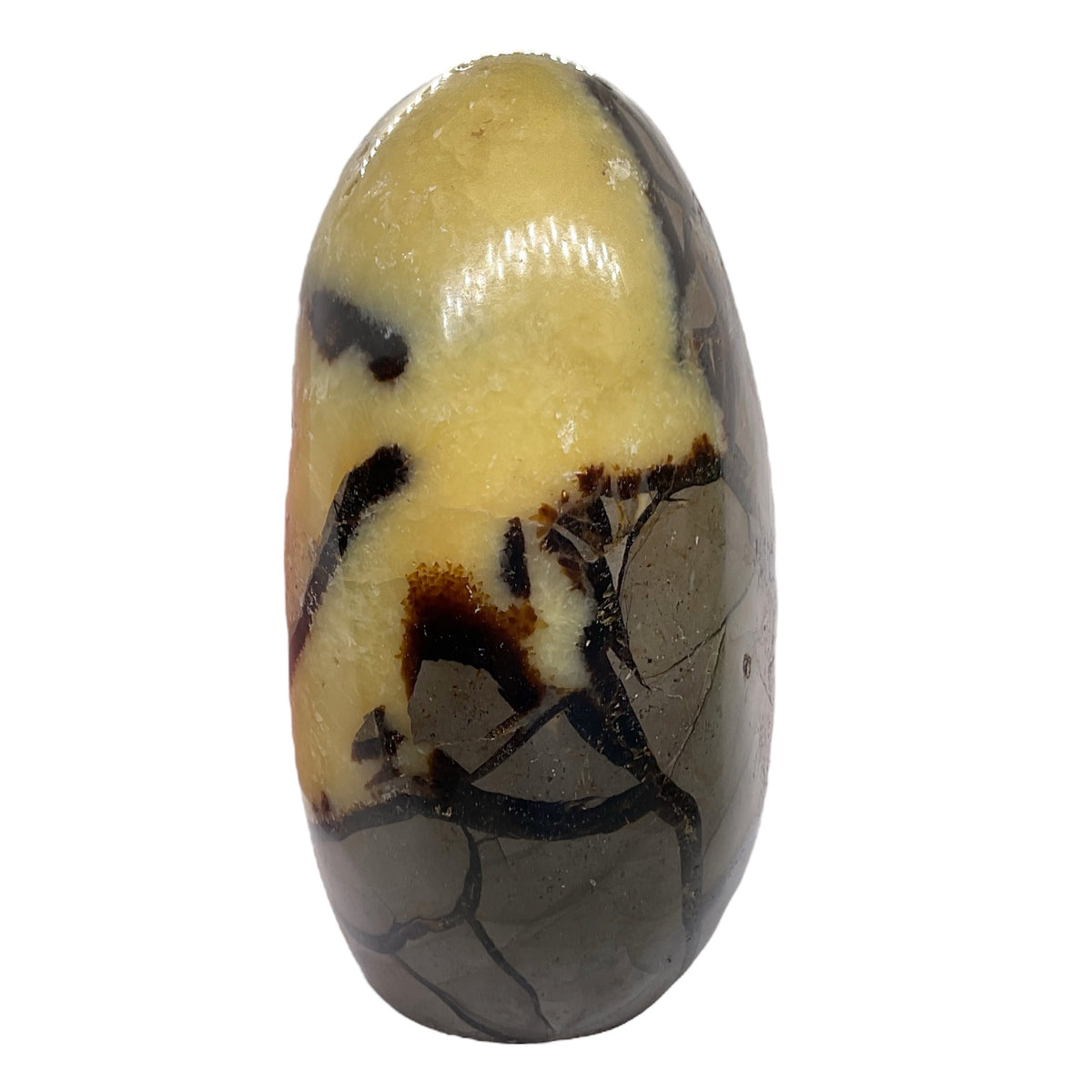 Mystisches Septarien Drachenei I Kristalldruse I Freeform I mit Acrylständer I 1330gr. I 13x9x6cm I Unikat-Masterpiece 1653 I Sammlerstück I AAA-Qualität I Madagaskar