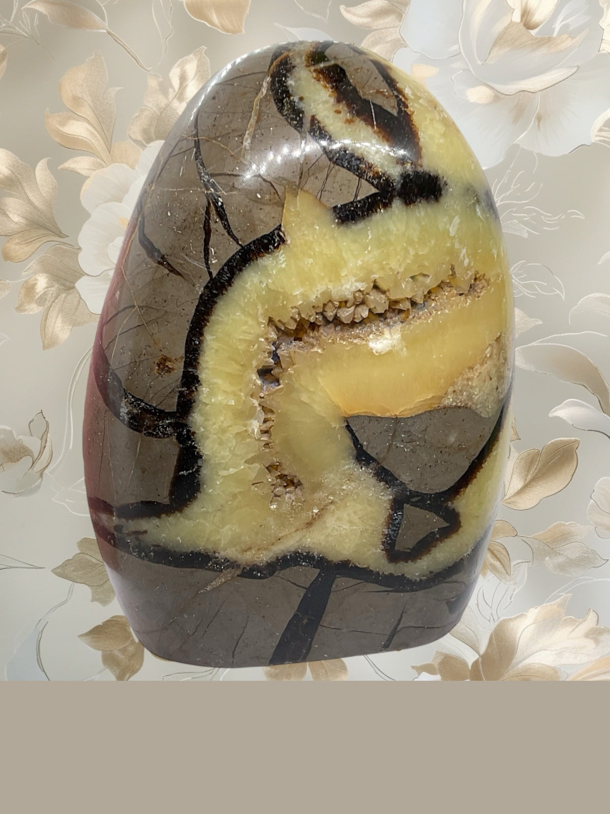 Mystisches Septarien Drachenei I Kristalldruse I Freeform I mit Acrylständer I 1330gr. I 13x9x6cm I Unikat-Masterpiece 1653 I Sammlerstück I AAA-Qualität I Madagaskar