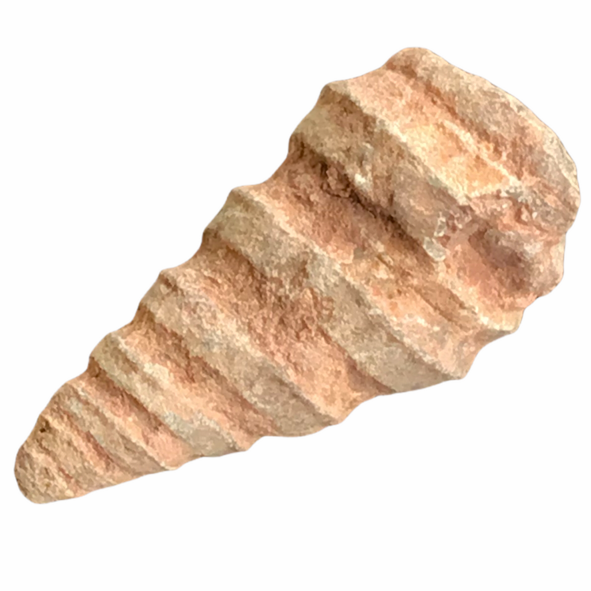 Schatzkiste mit 2 Geoden zum aufbrechen, Fossilien, Bergkristall, Edelsteine, Trommelsteine, Lupe - Mindestens 40 Teile