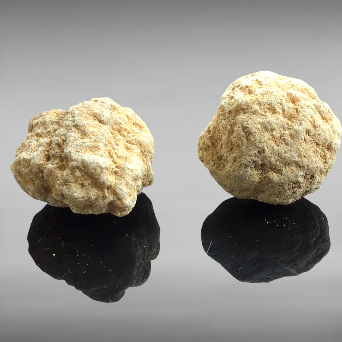 Schatzkiste mit 2 Geoden zum aufbrechen, Fossilien, Bergkristall, Edelsteine, Trommelsteine, Lupe - Mindestens 40 Teile