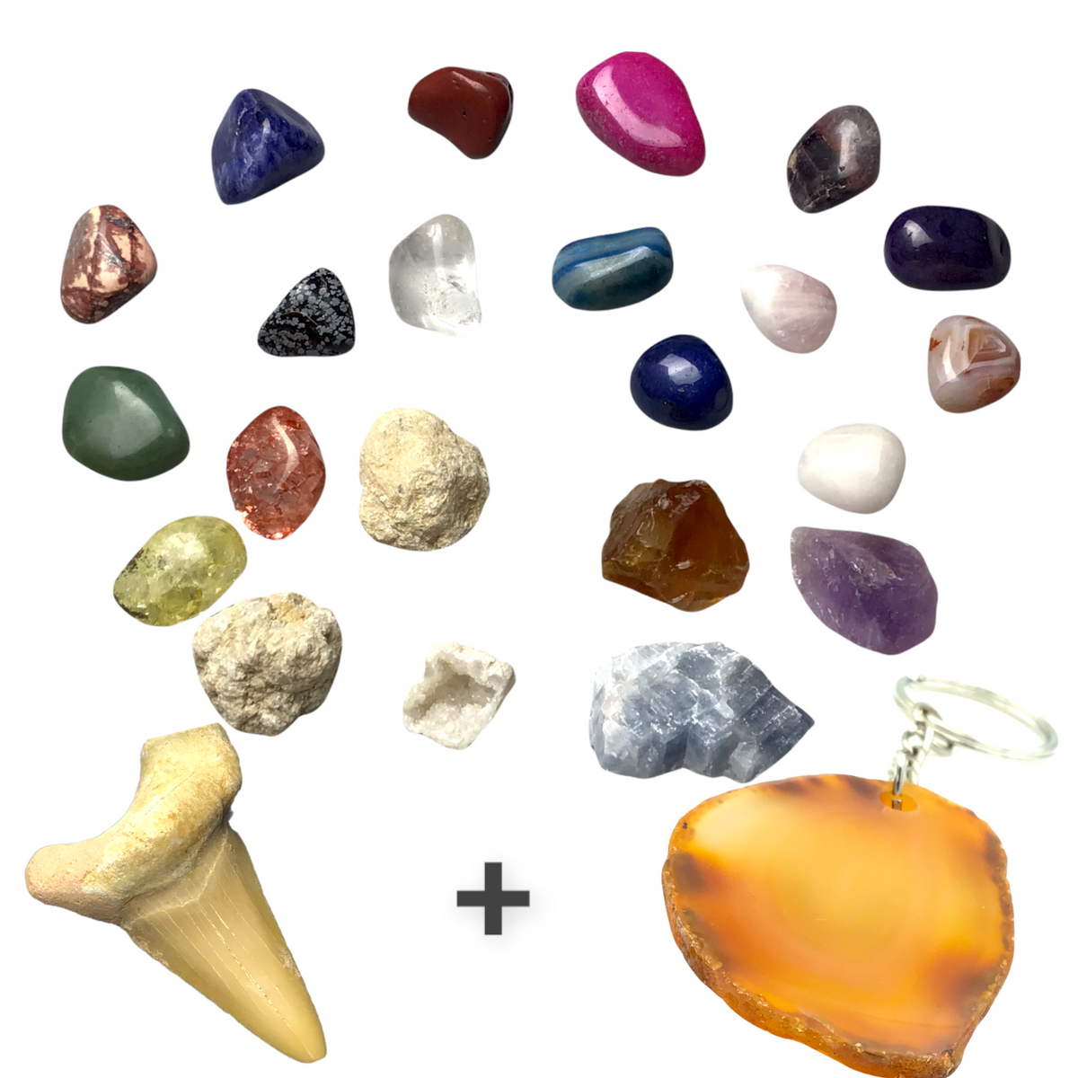 Exclusive Adventskalender Mineralienfüllung mit Geoden zum aufbrechen - 24-teilig- Trommelsteine, Geoden, Rohsteine, Haifischzahn, Achatscheibe