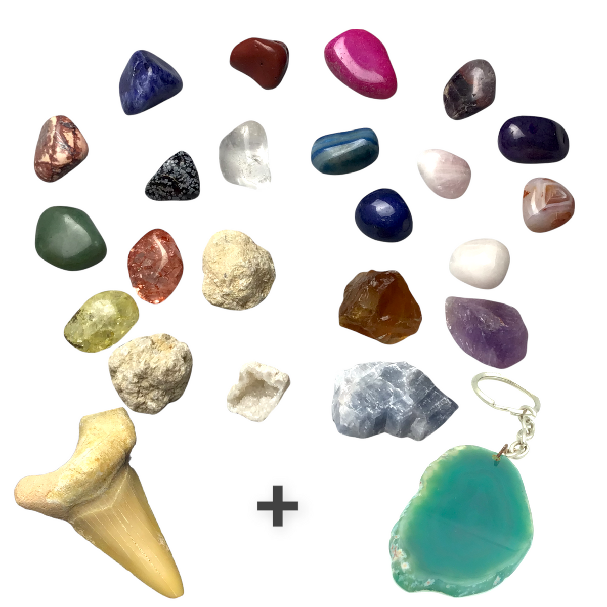 Exclusive Adventskalender Mineralienfüllung mit Geoden zum aufbrechen - 24-teilig- Trommelsteine, Geoden, Rohsteine, Haifischzahn, Achatscheibe