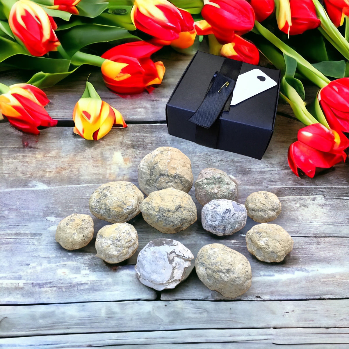 Steinfixx® - Exclusive 13 teilige Geodensammlung aus aller Welt zum aufbrechen im Geschenkkarton mit Anleitung
