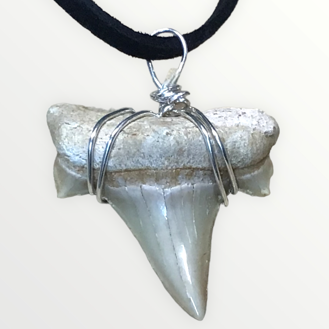 Exclusive versteinerte Urzeit Haifischzahnkette | Lederband zum knoten | Fossilien I Top Qualität I unbehandelt I naturbelassen