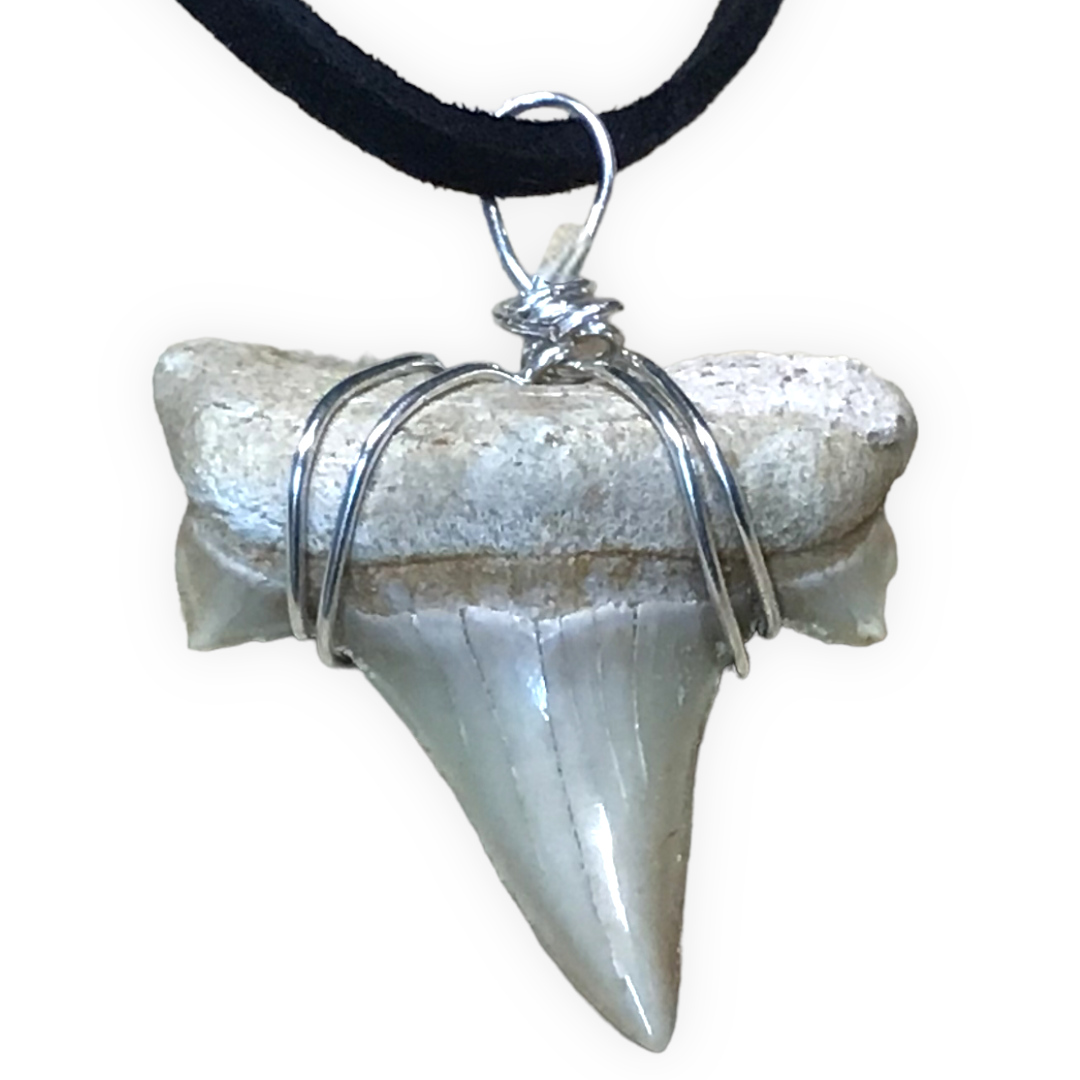 Exclusive versteinerte Urzeit Haifischzahnkette | Lederband zum knoten | Fossilien I Top Qualität I unbehandelt I naturbelassen