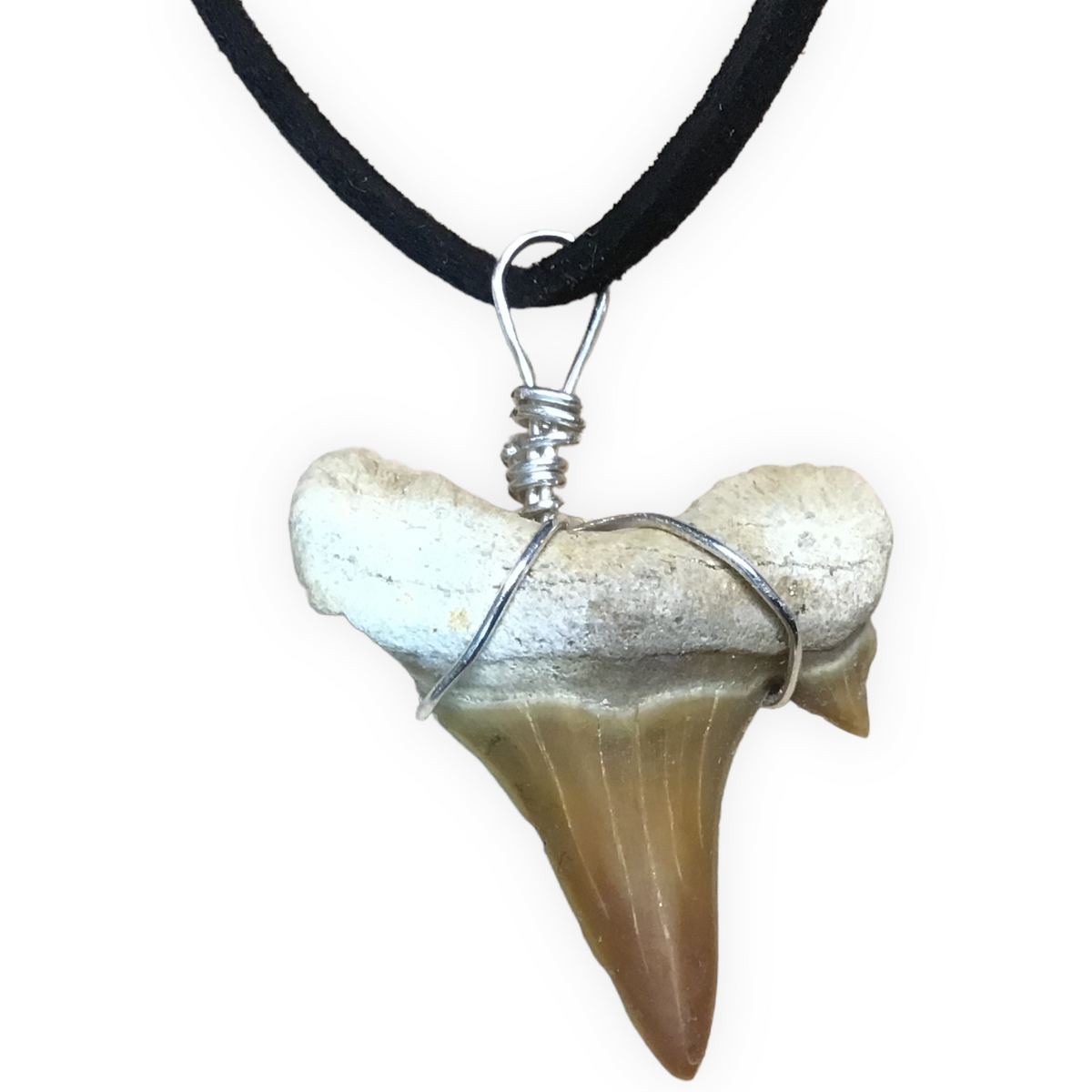 Exclusive versteinerte Urzeit Haifischzahnkette | Lederband zum knoten | Fossilien I Top Qualität I unbehandelt I naturbelassen