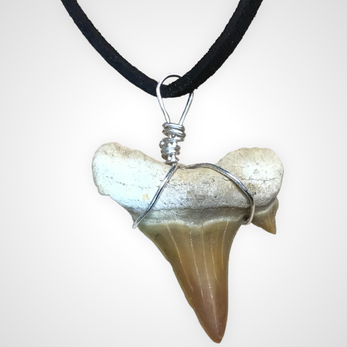 Exclusive versteinerte Urzeit Haifischzahnkette | Lederband zum knoten | Fossilien I Top Qualität I unbehandelt I naturbelassen