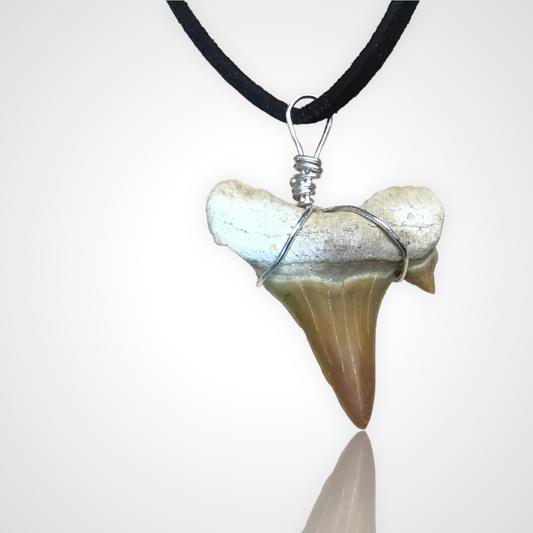 Exclusive versteinerte Urzeit Haifischzahnkette | Lederband zum knoten | Fossilien I Top Qualität I unbehandelt I naturbelassen