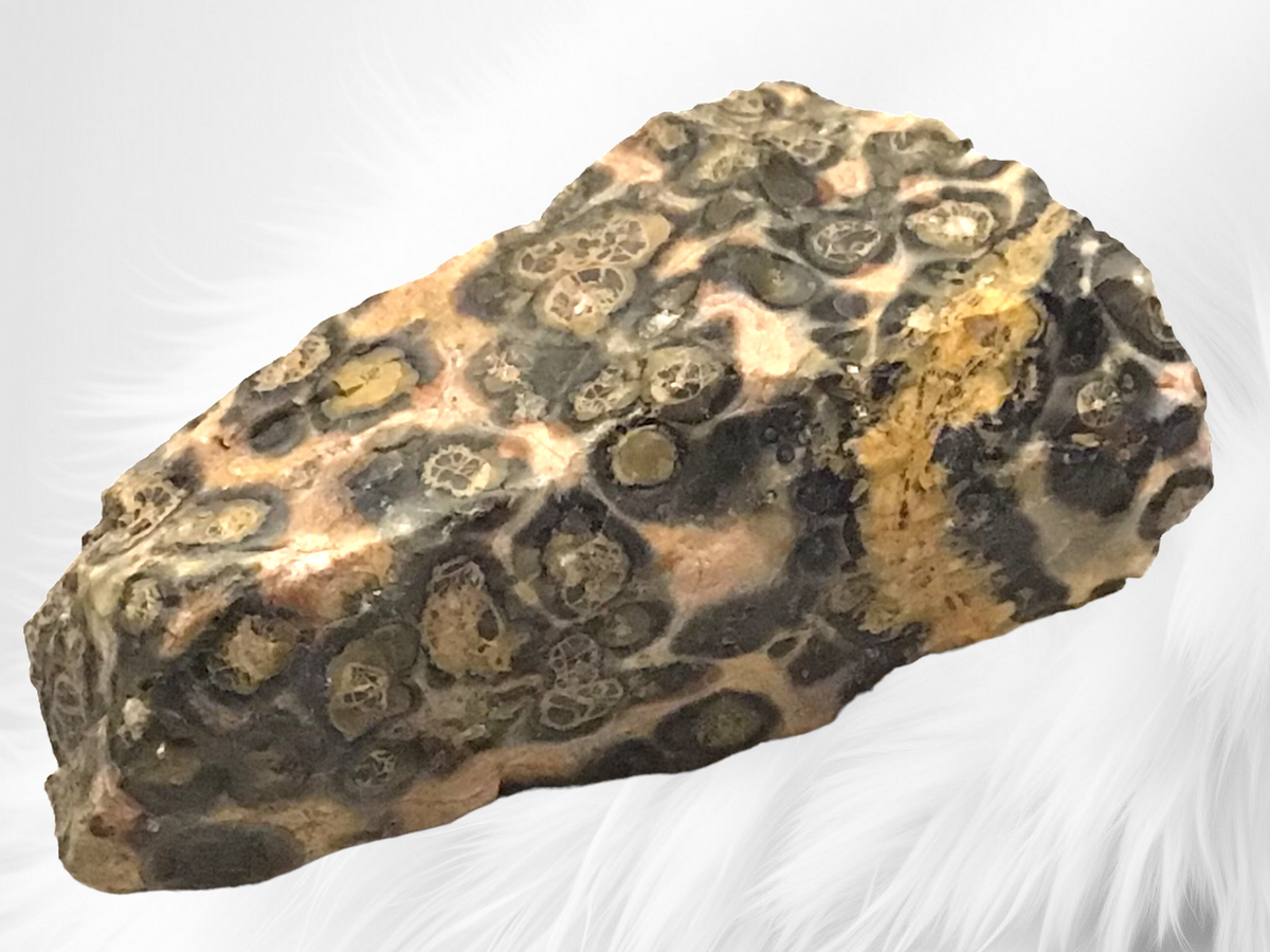 Leopardenjaspis Rohstein I 50-500 Gramm I Edelstein I Glücksstein I Mexiko