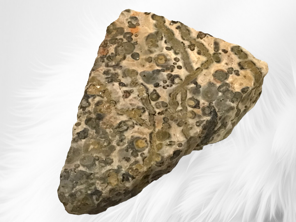 Leopardenjaspis Rohstein I 50-500 Gramm I Edelstein I Glücksstein I Mexiko